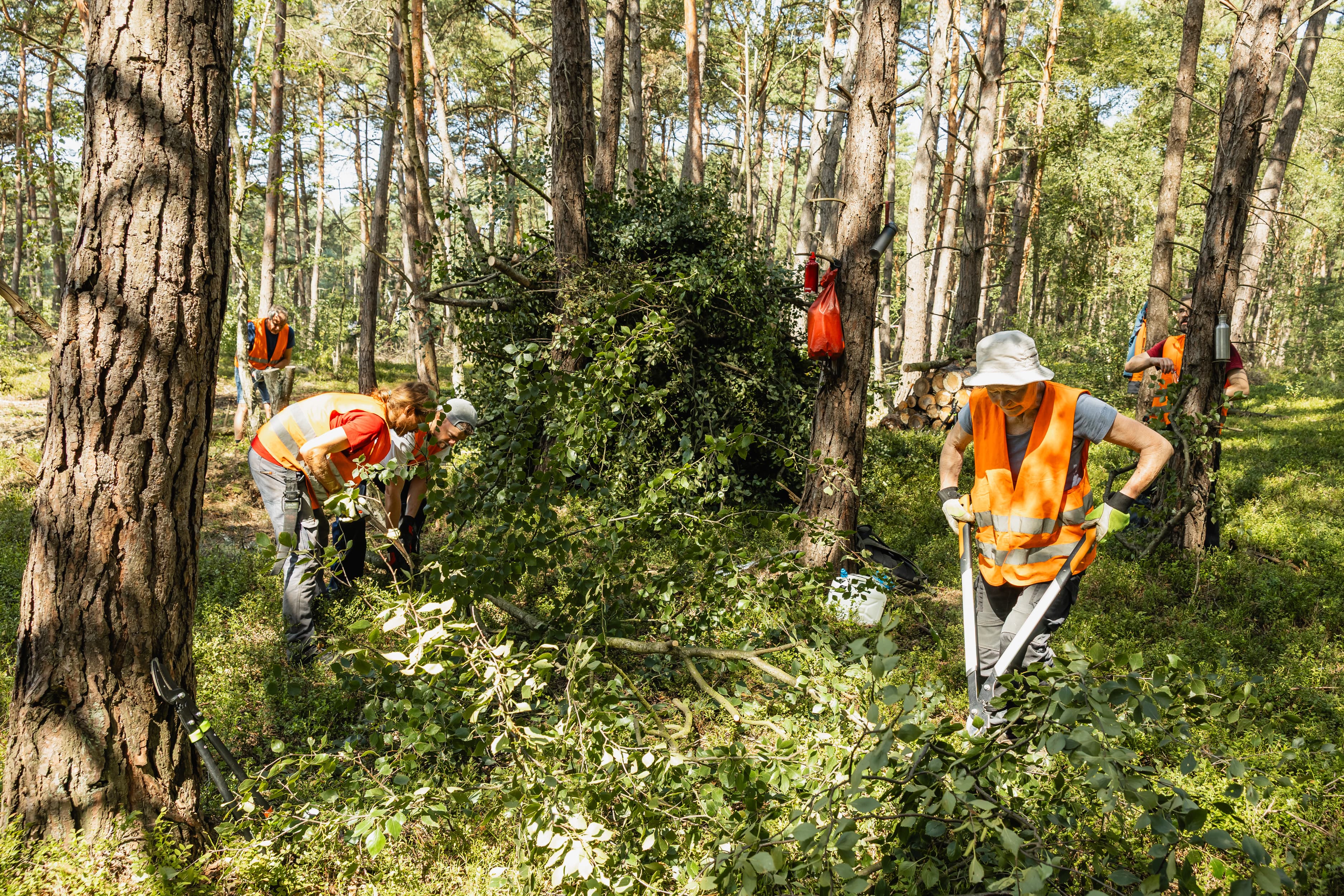 Arbeiten im Moor Die freiwilligen Helfer fällen, schneiden und sammeln bei der Arbeit im Moor in der Hannoverschen Moorgeest.