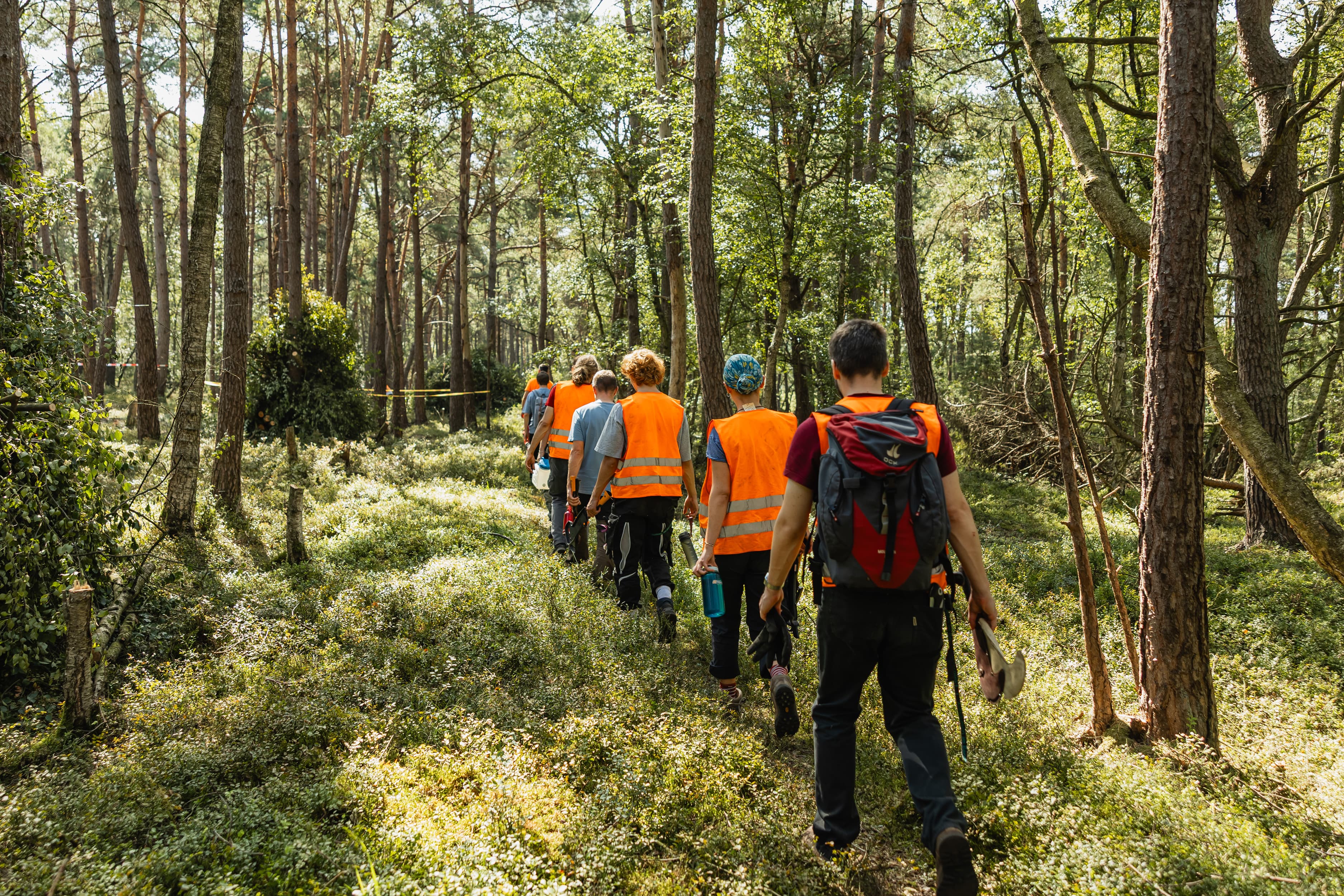 Moorbesichtigung Eine Truppe an Freiwilligen bei der Moorbesichtigung in der Hannoverschen Moorgeest