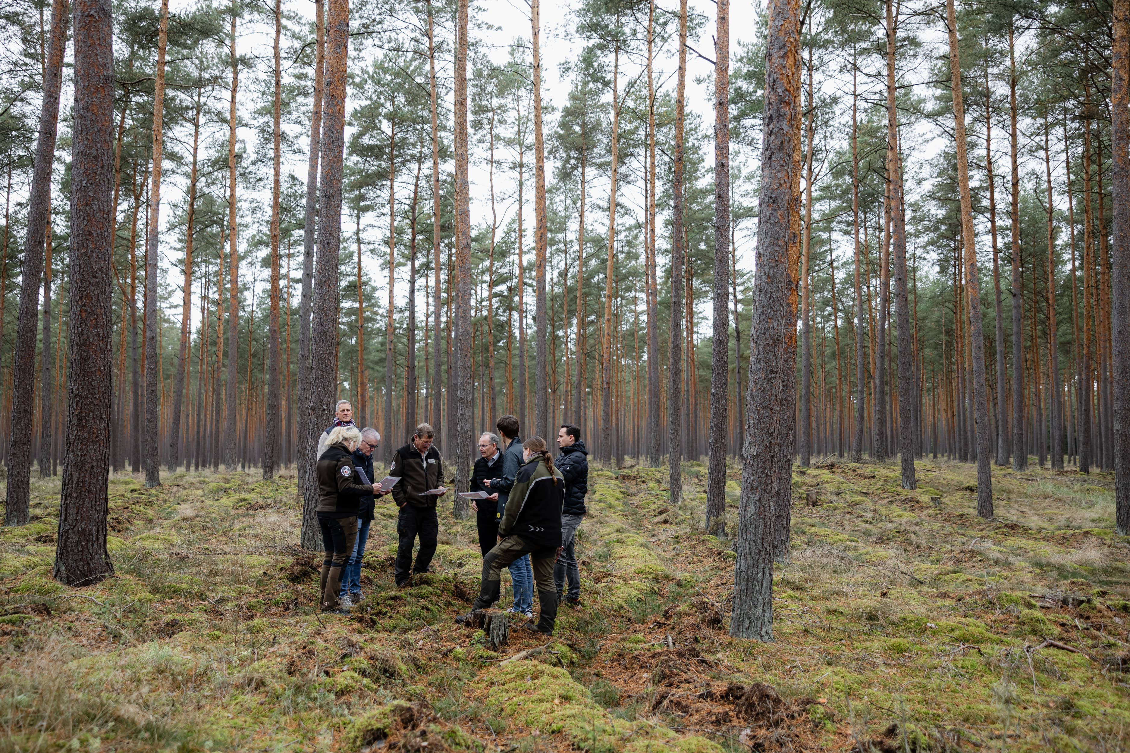 Monokultur im Wald Unser Nachhaltigkeitsmanager Thilo Schwarzer zusammen mit zwei Vorstandsmitgliedern zu Besuch beim geförderten Waldprojekt im Wendland.